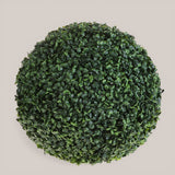 Sfera D. Dichondra • 50 cm