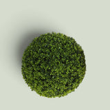2 Pezzi • Sfera D. Bosso • 30 cm