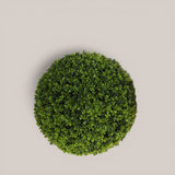 Sfera D. Bosso • 30 cm