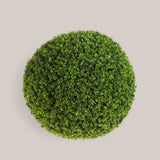 Sfera D. Bosso • 40 cm