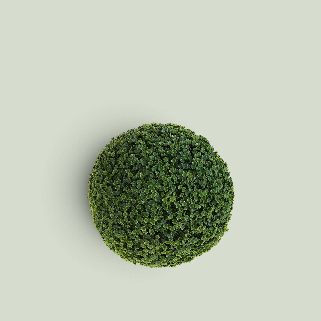 2 Pezzi • Sfera Frog Joy • 30 cm