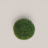 Sfera Frog Joy • 30 cm