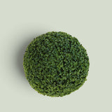 2 Pezzi • Sfera Frog Joy • 40 cm
