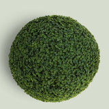 Sfera Frog Joy • 50 cm