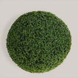 Sfera Frog Joy • 50 cm