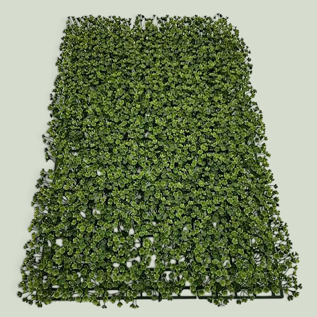 3 Pezzi • Mattonella 40X Frog Joy • 60 cm