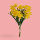 6 Pezzi • Narciso per 3 fiori • 35 cm