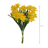 Narciso per 3 fiori • 35 cm