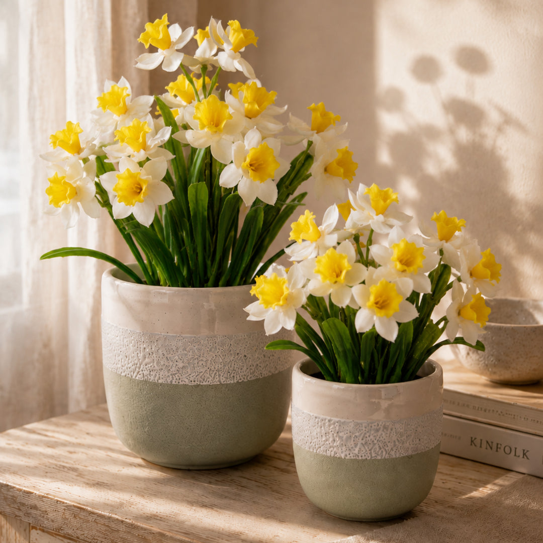 Bouquet Narcisi • 35 cm