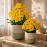 Bouquet Narcisi • 35 cm