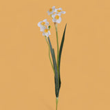 2 Pezzi • Fiore Giunchiglia artificiale con 2 fiori • 55 cm