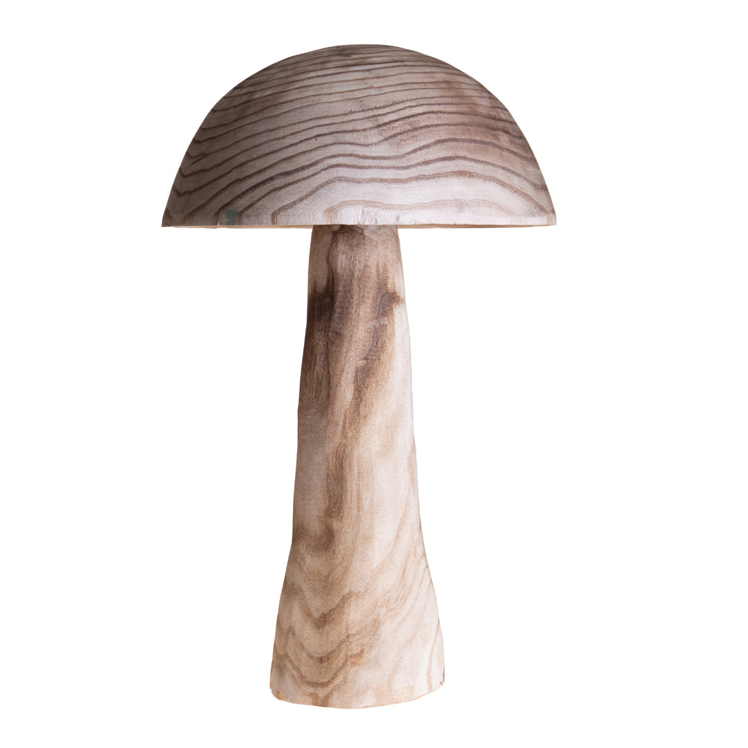 Fungo • 60,5 cm