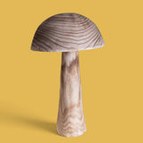 Fungo • 60,5 cm