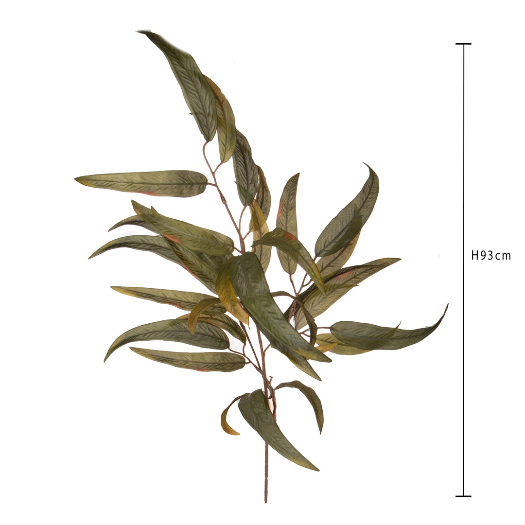 Pezzi 24 • Ramo eucalipto • H 93 cm