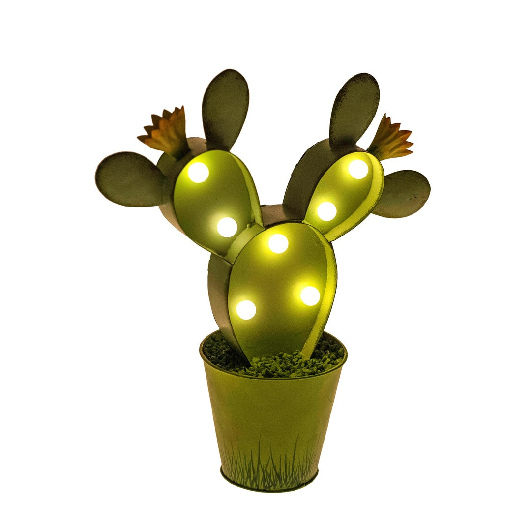 Cactus con luci • 29 cm