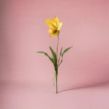 2 Pezzi • Orchidea artificiale con scarpetta e foglie • 64 cm