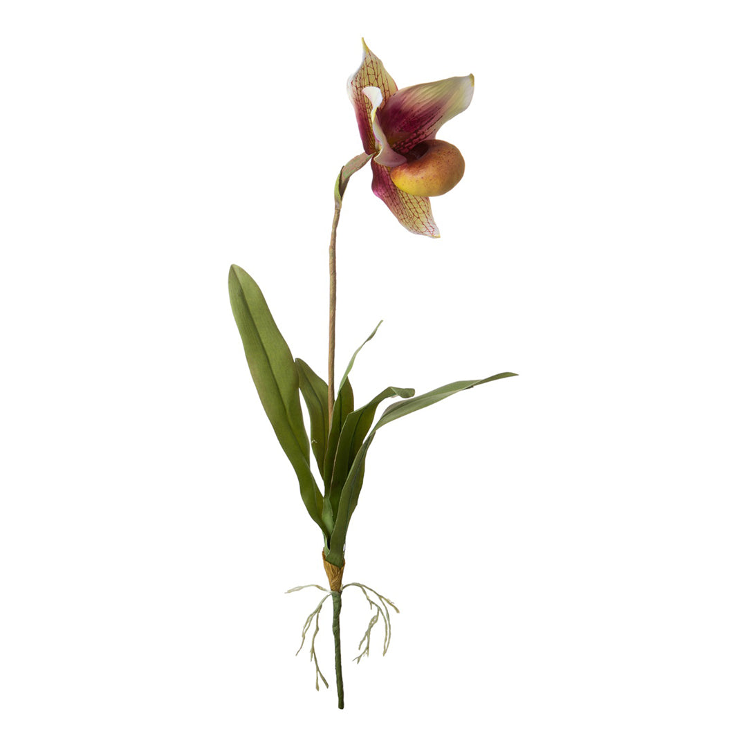 2 Pezzi • Orchidea artificiale con scarpetta e foglie • 64 cm