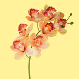 2 Pezzi • Orchidea artificiale • 72 cm