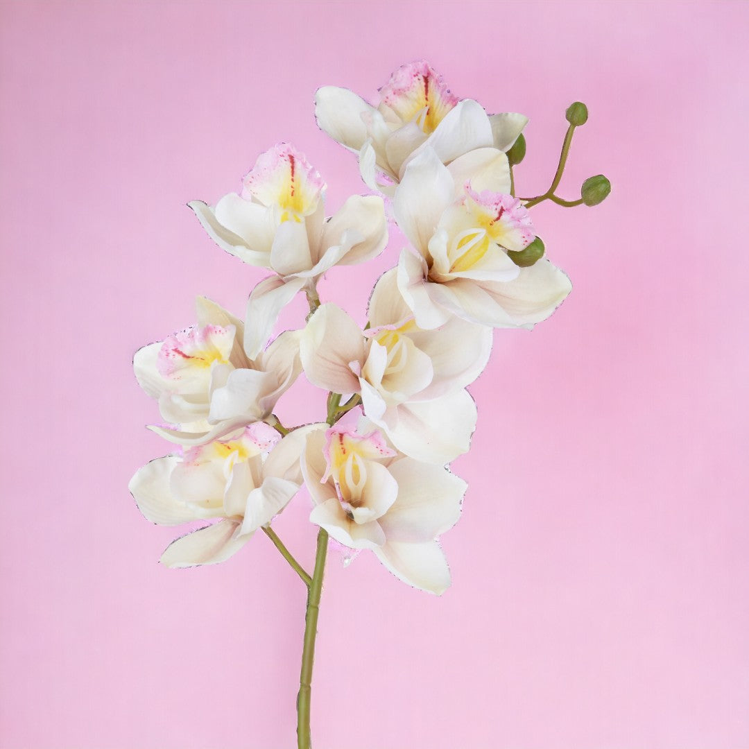 2 Pezzi • Orchidea artificiale • 72 cm