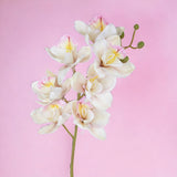 2 Pezzi • Orchidea artificiale • 72 cm