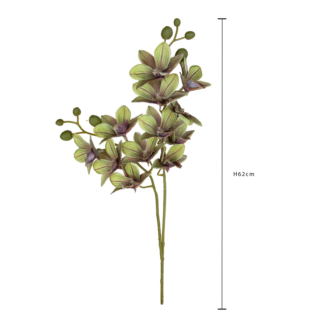 Orchidea x2 • 62 cm