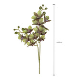 Orchidea x2 • 62 cm