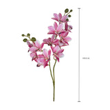 Orchidea x2 • 62 cm