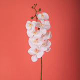 2 Pezzi • Orchidea artificiale con 9 fiori • 110 cm