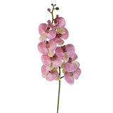 2 Pezzi • Orchidea artificiale con 9 fiori • 110 cm