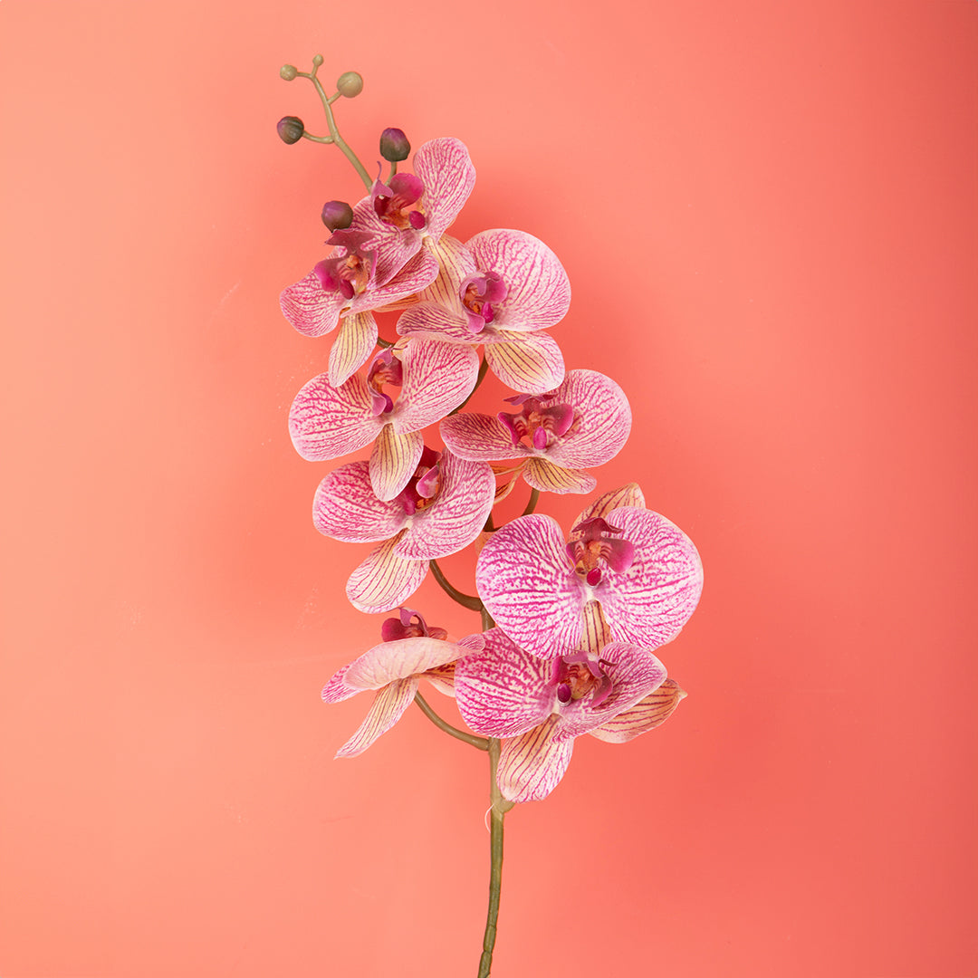 2 Pezzi • Orchidea artificiale con 9 fiori • 110 cm