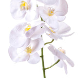 2 Pezzi • Fiore di Orchidea artificiale con 7 fiori • 95 cm