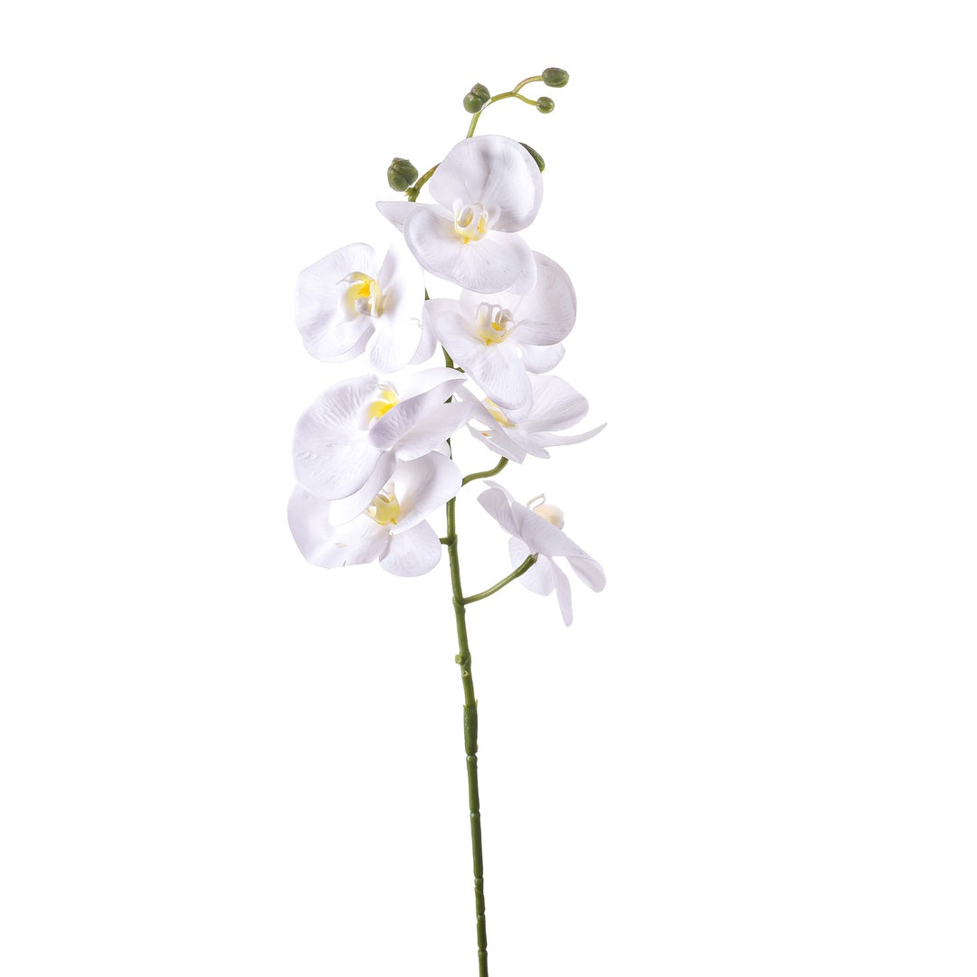 2 Pezzi • Fiore di Orchidea artificiale con 7 fiori • 95 cm