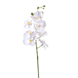 2 Pezzi • Fiore di Orchidea artificiale con 7 fiori • 95 cm