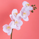 2 Pezzi • Mini Orchidea artificiale • 40 cm