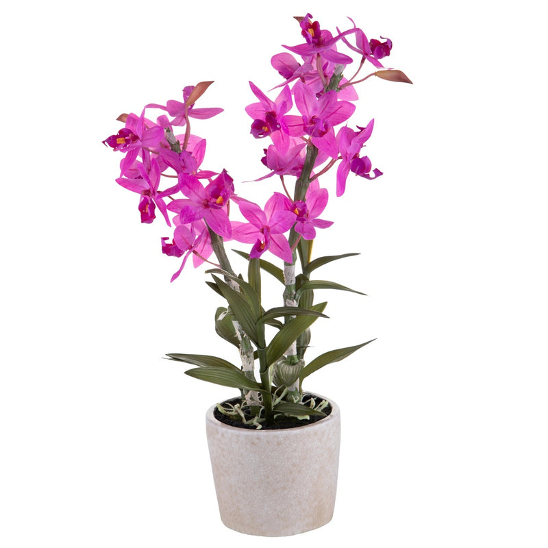 Fiore di Orchidea con vaso • 51 cm