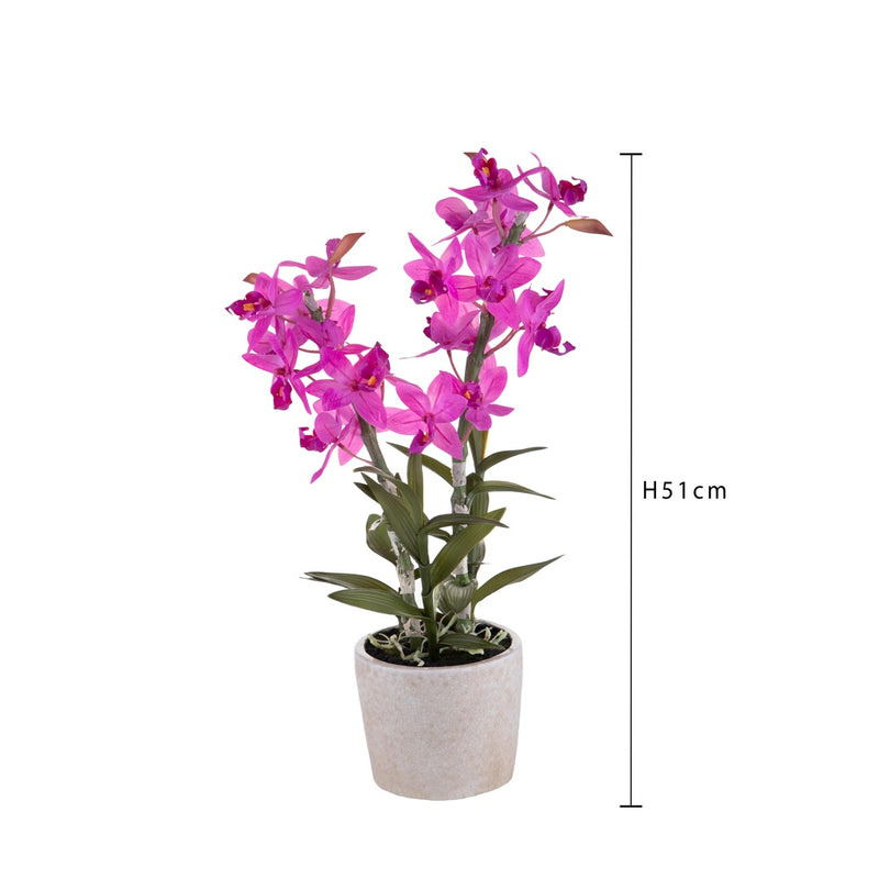 Fiore di Orchidea con vaso • 51 cm