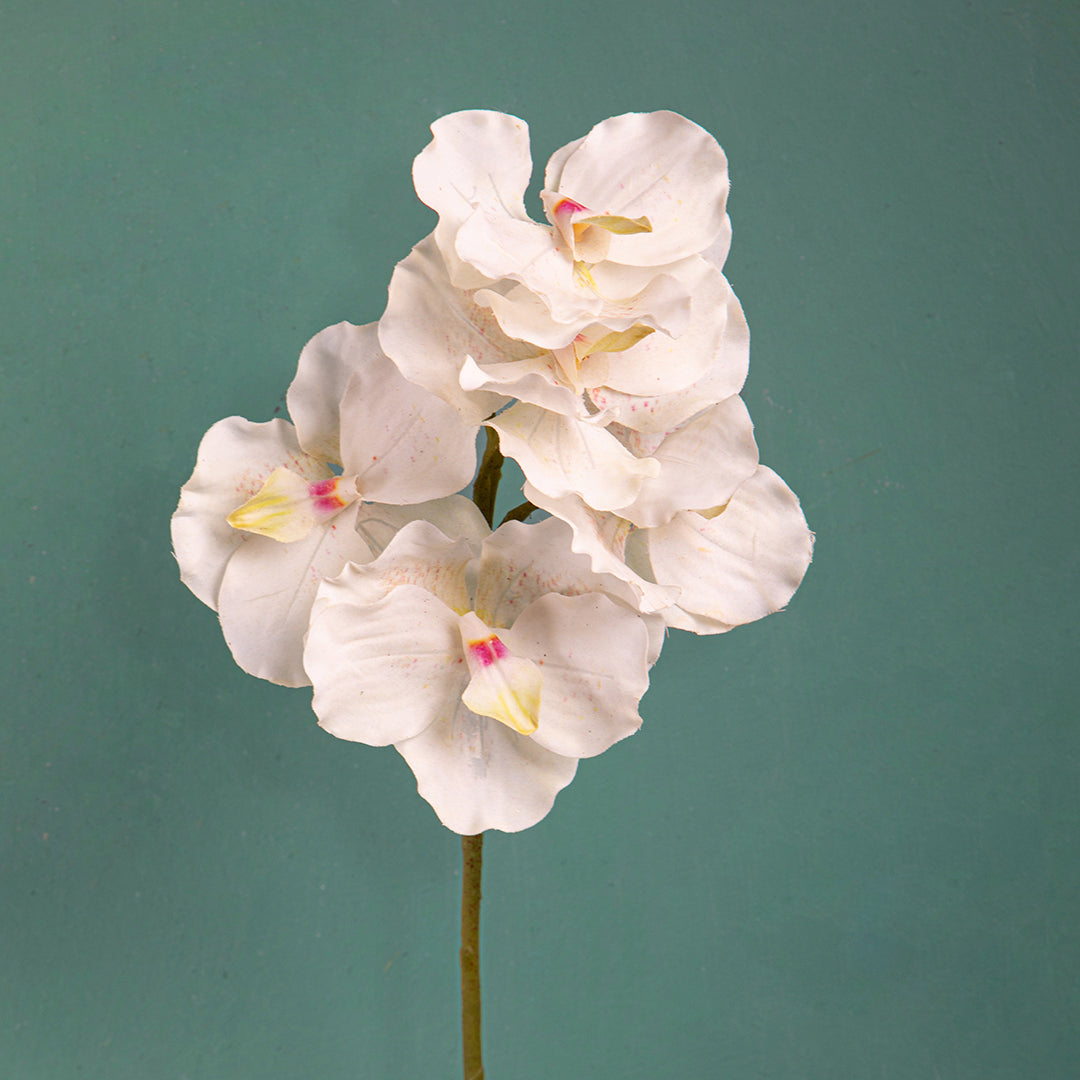 3 Pezzi • Orchidea artificiale vanda • 62 cm