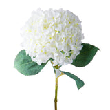 2 Pezzi • Ortensia artificiale con 4 Foglie • 64 cm