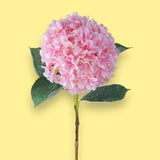 2 Pezzi • Ortensia artificiale con 4 Foglie • 64 cm