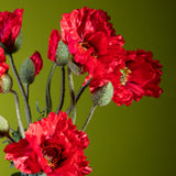 Papavero per 2 fiori • 74 cm