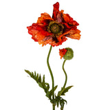 Papavero per 2 fiori • 74 cm