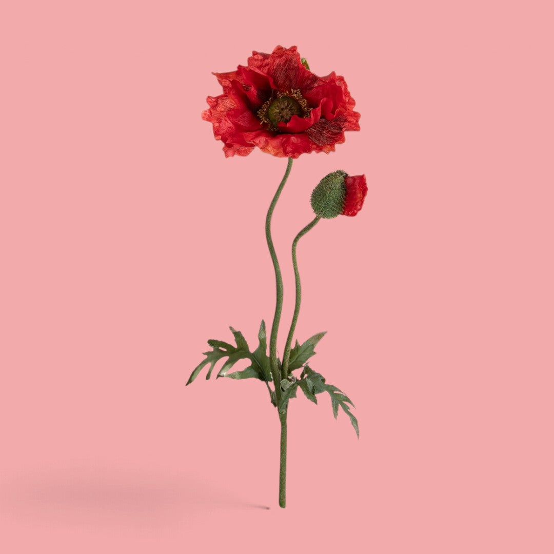 4 Pezzi • Papavero per 2 fiori • 74 cm
