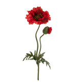 Papavero per 2 fiori • 74 cm