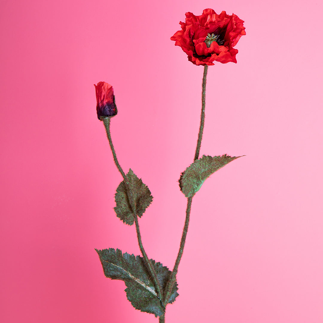 2 Pezzi • Papavero • 73 cm