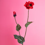 2 Pezzi • Papavero • 73 cm