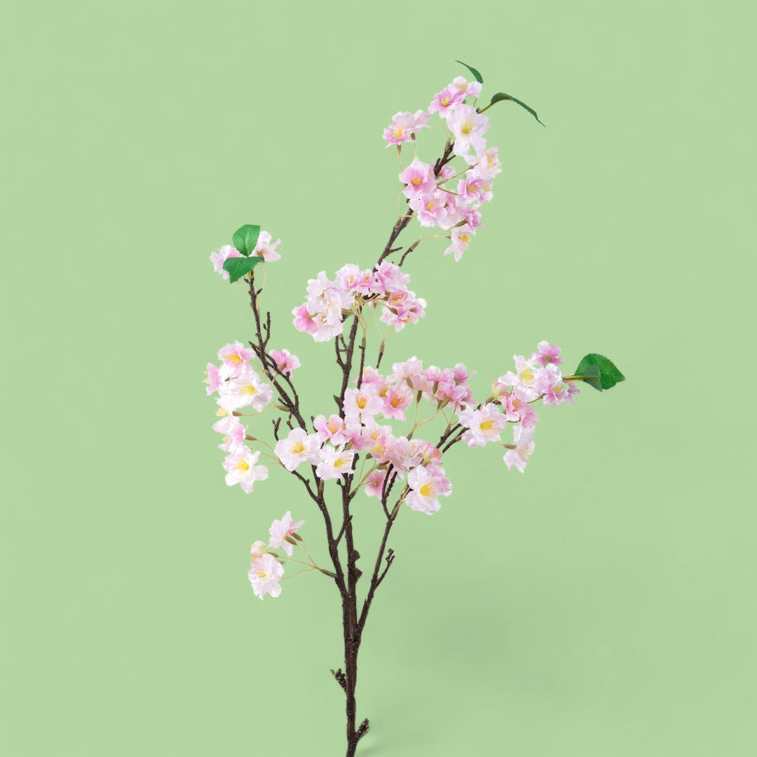 2 Pezzi • Pesco • 105 cm