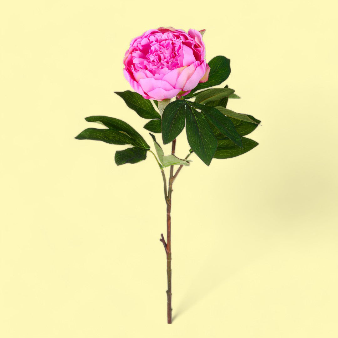 3 Pezzi • Fiore Peonia artificiale • 80 cm