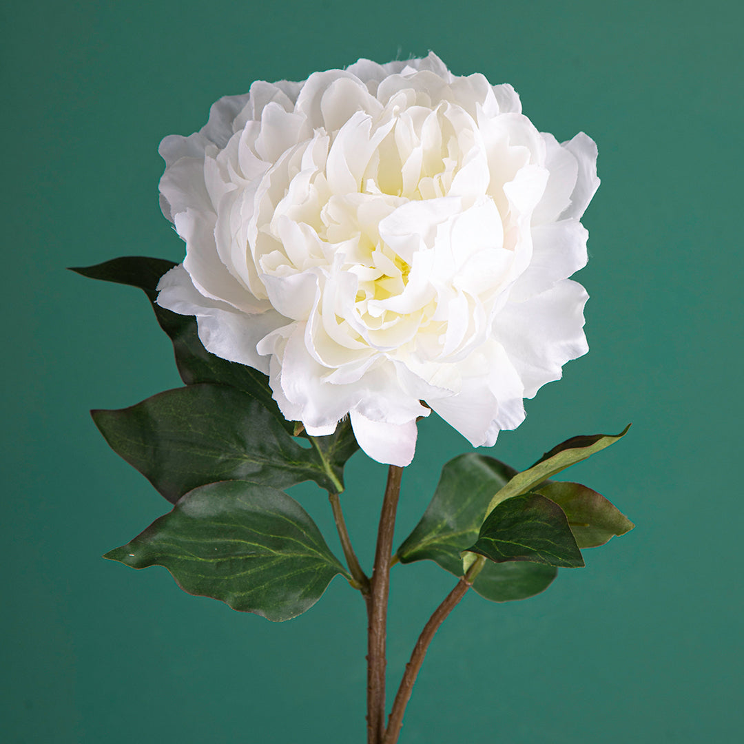 4 Pezzi • Fiore di Peonia artificiale • 57 cm