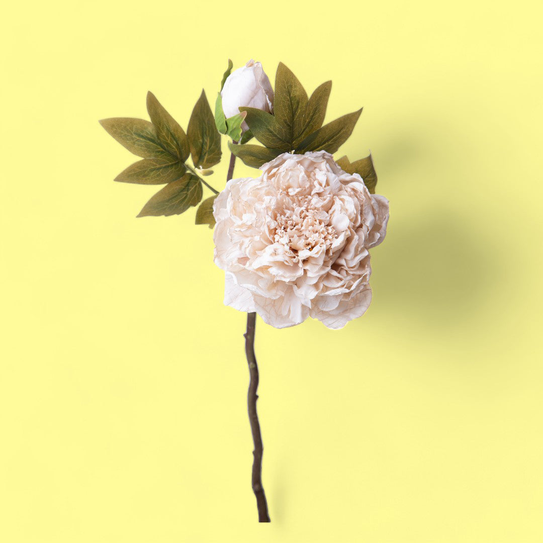 3 Pezzi • Fiore di Peonia artificiale dry • 50 cm