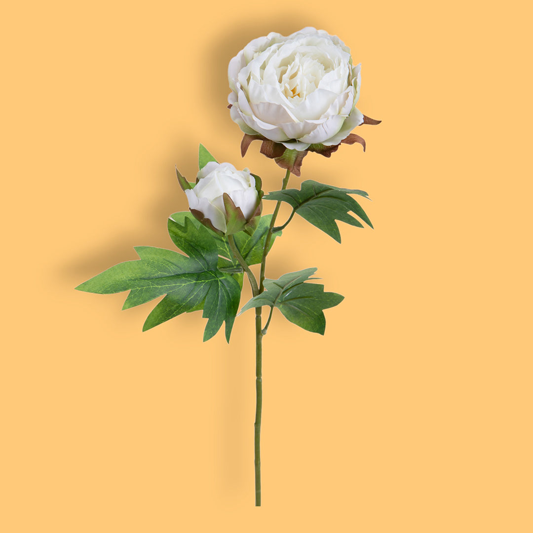 6 Pezzi • Peonia artificiale con 2 fiori • 60 cm